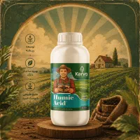 رشد گیاهت از اینجا شروع میشه