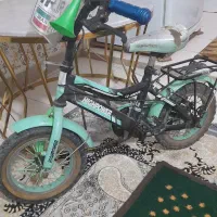 پرنده