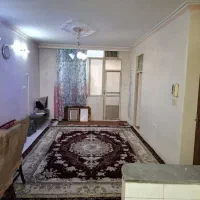 واحد-خوش-نقشه-و-پر-نور