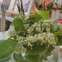 آموزش نقاشی ( شهرک دادگستری)