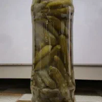 خیارشور خانگی درجه یک