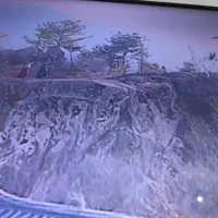 باغ پسته