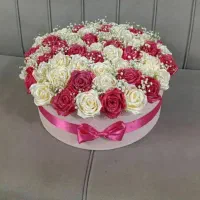 دلبر