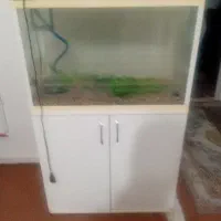 آکواریوم بزرگ با کمد