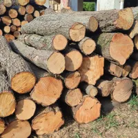 فروش چوب توسکا|مصالح و تجهیزات ساختمان|کلاچای, |دیوار