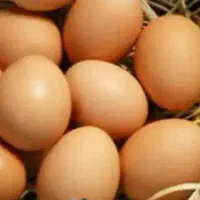 تخم مرغ خانگی