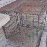 قفس مرغ