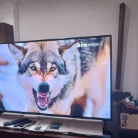 ال ای دی 50 اینچ، هوشمندفورکی، مشابه آک