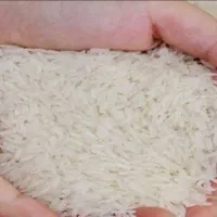 برنج  هاشمی درجه یک