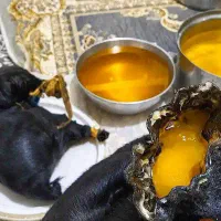 کره و روغن زرد اصل100٪