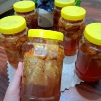 عسل کوهی|خوردنی و آشامیدنی|دهلران, |دیوار