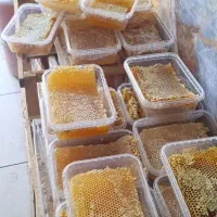 عسل