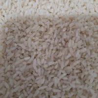 لاشه هاشمی سورتیگ زده  ۱۰۰ کیلو موجوده