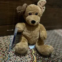 عروسک|اسباب‌بازی بچه|ارومیه, |دیوار
