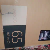 کارتن تلویزیون