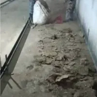 کارگر با تجربه جهت بارگیری کود مرغی