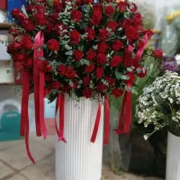 گل رزRosevia