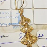 یک لنگه گوشوار گم شده