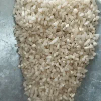 برنج نیم دانه و سرلاشه معطر