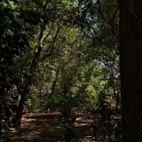خانه-باغ-تنگ-چنار