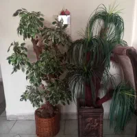 درختچه مصنوعی