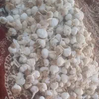 سیر عشق آباد