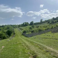 زمین