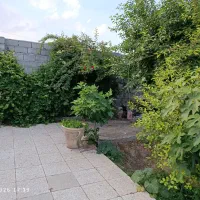 باغ|فروش زمین و ملک کلنگی|مشهد, كنويست|دیوار