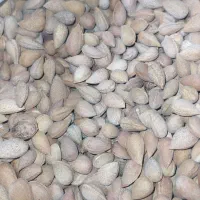بادام تلخ