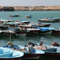 مجوز صیادی