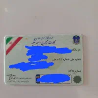 کارت پیدا شده