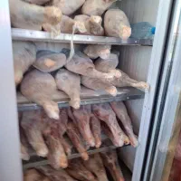 گوشت مغولی عمده