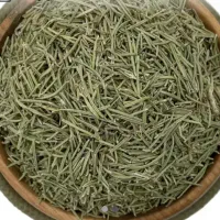 رزماری