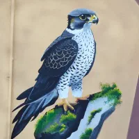 نقاشی دیواری