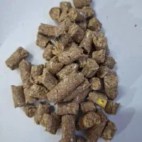 خوراک دام پرواری گوسفندی میش بره