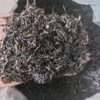 چای قلم و چای دستی