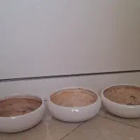 سه گلدان سفالی