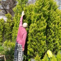 فروش ویژه لاوسون حراج واقعی