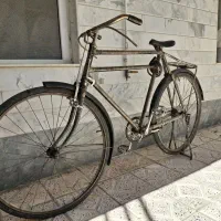 دوچرخه 28فلیپش شیر نشان