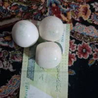 سنگ آسیاب