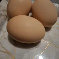فروش تخم مرغ تک زرده و  دو زرده