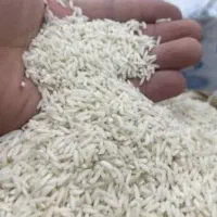 برنج هاشمی