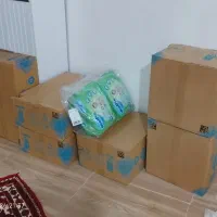 تعداد محدود سایز ۳ـ۵ـ۶ فقط مونده