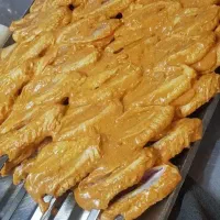 کباب زن سیار