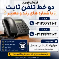 ۲خط تلفن رند
