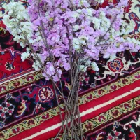 گل دکوری