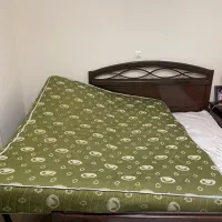 تشک|تشک تختخواب|رشت, کاکتوس|دیوار