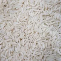 برنج طارم هاشمی اعلا