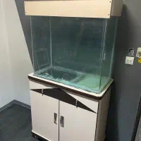 اکواریوم