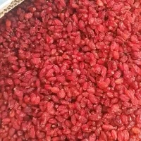 زرشک پفکی اعلاء